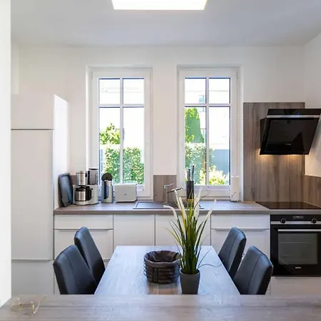 公寓 Strandhaus, App 03 塞巴特黑灵斯多夫